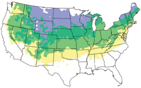 States at arborday.org