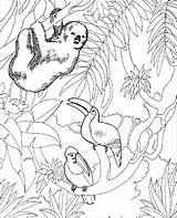 Zoo Coloring Pages  ColoringBay sketch template