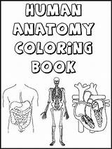 Human Skeleton Coloring Page sketch template