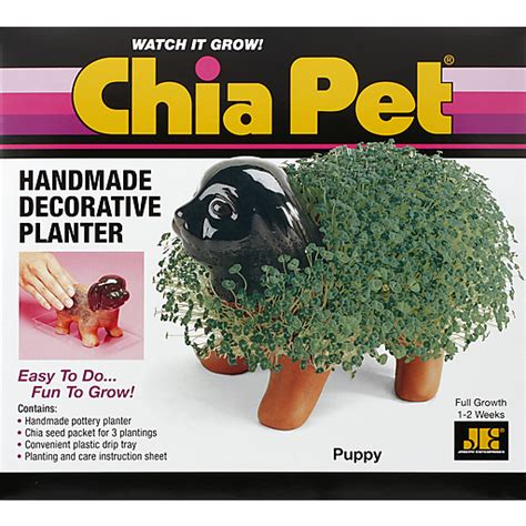 Chia Pet Planter | Shop | Quality Foods