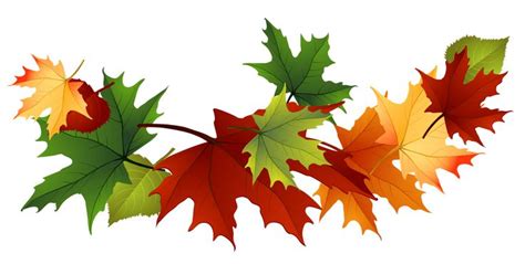 15 Activities To Do With Leaves | Fall clip art, Leaf clipart, Autumn leaves