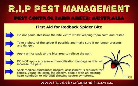 Contact us - R.I.P Pest Management | Pest Control Narrabeen | Pest ...