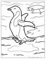 38 Penguin Coloring Pages Free PDF Printables sketch template