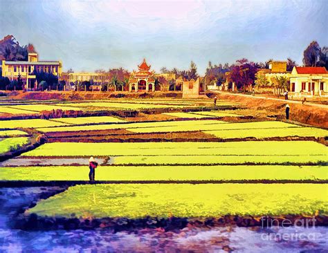 Rice Paddies in Vietnam Digital Art by Jennie Breeze - Fine Art America