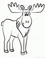 Moose Colorir Imprimir Elch Bestcoloringpagesforkids Alce Ausmalbilder  sketch template