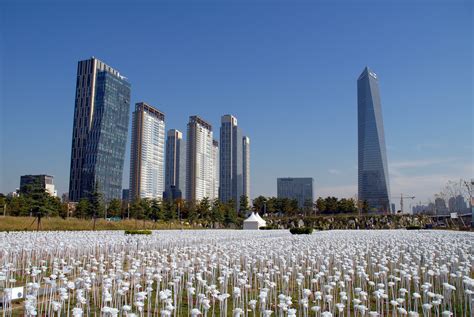 Free Images : horizon, plant, skyline, flower, building, city, skyscraper, cityscape, downtown ...