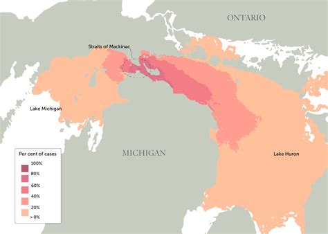 Enbridge Line 5 pipeline dispute, explained | The Narwhal