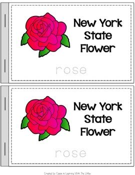 New York State Symbols Notebook by Easy Peasy Teaching | TpT