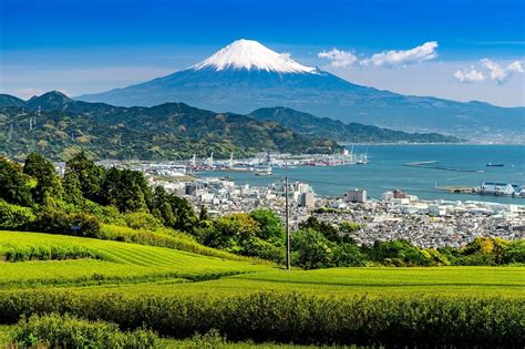 Shizuoka - What you need to know before you go - Go Guides