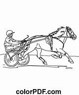 Jockey Driving Horse – Coloring Pages And Books In PDF sketch template