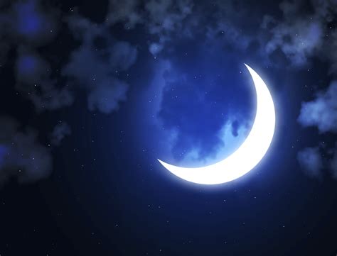 Bright moon in the night sky - Wenndi Freer