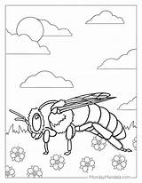 Bees And Honey Coloring Pages sketch template