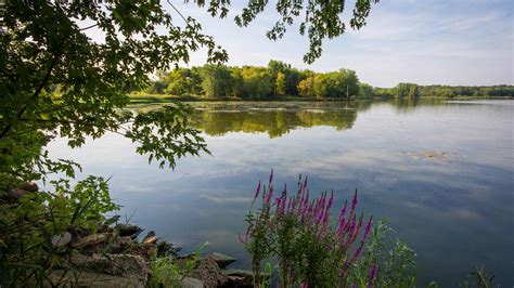 Grassy Lake Forest Preserve | Lake County Forest Preserves