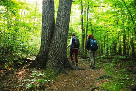 Best Hiking Trails in Gaylord, Michigan - Gaylord Michigan Area ...