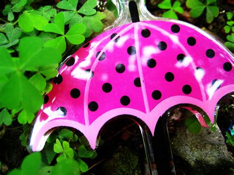 Umbrella Free Stock Photo - Public Domain Pictures