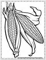 Printable Corn sketch template