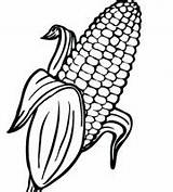 Corn Stalk Coloring Pages sketch template