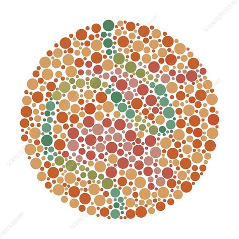 Colour blindness test chart, illustration - Stock Image - C049/7168 ...