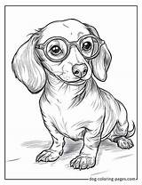 Dachshund Coloring Pages – 46 Free Printable Fun For Wiener Dog Lovers sketch template