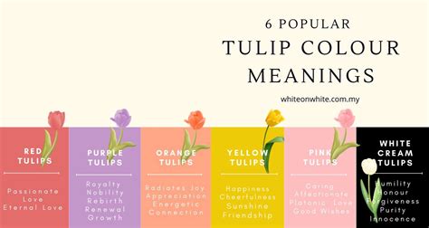 Tulip Up Meaning at Sabrina Laney blog