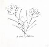 Printable Coloring Pages For Water Colors & Book Kids sketch template