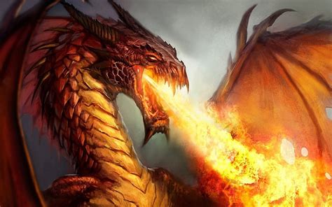 Brown dragon illustration, fantasy art, dragon, fire, artwork HD wallpaper | Wallpaper Flare