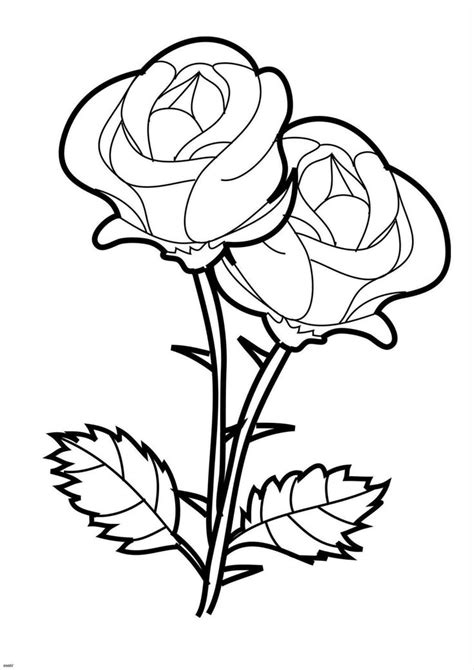 Get Rose Coloring Pages Easy PNG