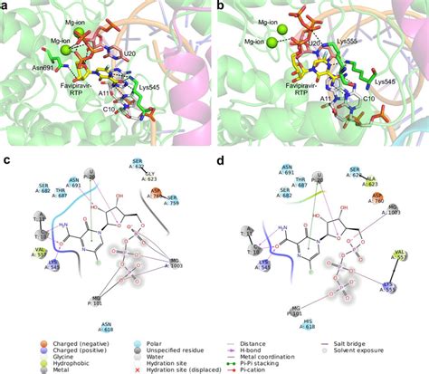 Intermolecular interactions and ligand interaction diagrams between ...