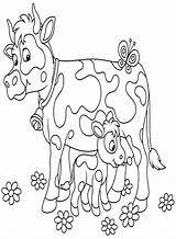 30  Calf Coloring Pages Free Printable PDF & Online sketch template