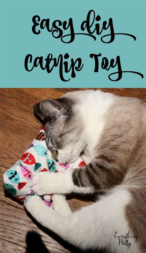 Easy DIY Catnip Toy | Diy catnip toys, Diy cat toys easy, Diy cat toys