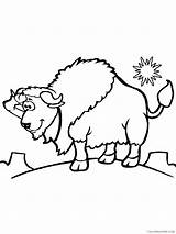 Bison Coloring Pages Animal Printable Sheets bison 12 2021 0508  sketch template