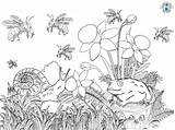 Bugs Coloring Page  Treasure Hunt 4 Kids sketch template
