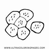 Buns Coloring Pages For Kids  Free To Print sketch template