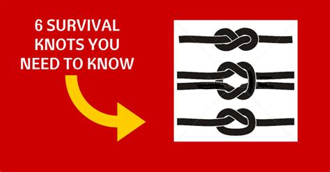 Six Survival Knots You Need to Know How to Tie