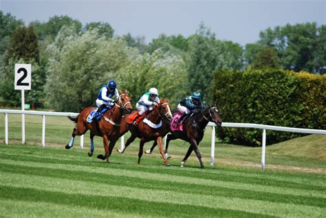 Free Images : jockey, race track, equestrianism, horse racing, eventing, horse like mammal ...