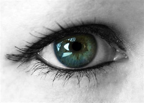 Free Images : eyelid, eyelash, human body, illustration, iris, eye ...