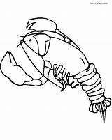 Online coloring Pages Coloring Page Maritime Lobster Download  sketch template