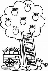 20  Free Printable Apple Coloring Pages EverFreeColoringcom sketch template