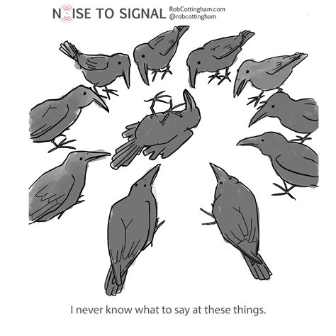 Guess I’ll wear black. - Noise to Signal Cartoon