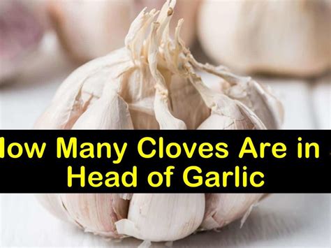 Garlic Bulb Vs Garlic Clove