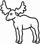 Moose coloring Page  Animals Town Free color Sheet sketch template