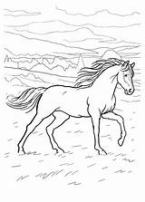 Long Horse Coloring Pages & coloring Book 6000  sketch template