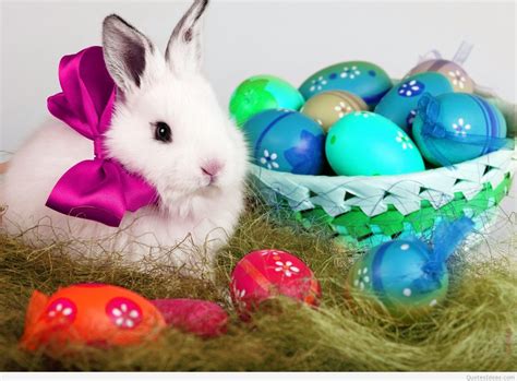 Easter Bunny Desktop Wallpaper 12148 - Baltana