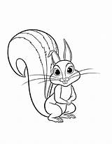 Squirrel Coloring Pages  Free Printable For Kids sketch template