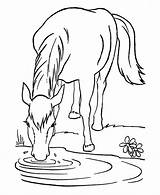 Free Printable Horse Coloring Pages For Kids sketch template