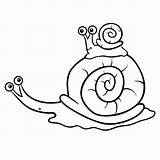Cartoon Of Snail Coloring Pages Illustrations Royalty Free Vector  sketch template