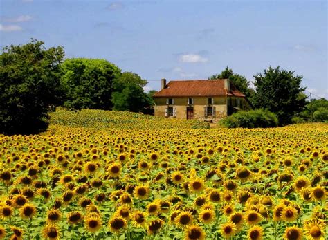 5 reasons Gascony should be on your France must-see list - The Good ...