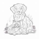 Unleash Your Creativity With Coloring Pages Dog And Cat Edition sketch template