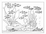 Coloring Pages Aquarium sketch template
