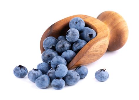 Bilberry Extract | Vaccinium Myrtillus Supplement